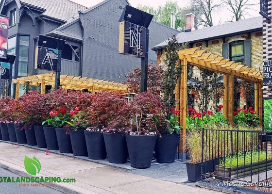 GTA-Landscaping-NAO-Steakhouse-restaurant-yorkville-90-avenue-rd.