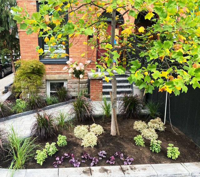 Tree-Planting-Services